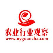 【预制菜】预制菜行业：4大弊端与4大破局，挑战也是机会