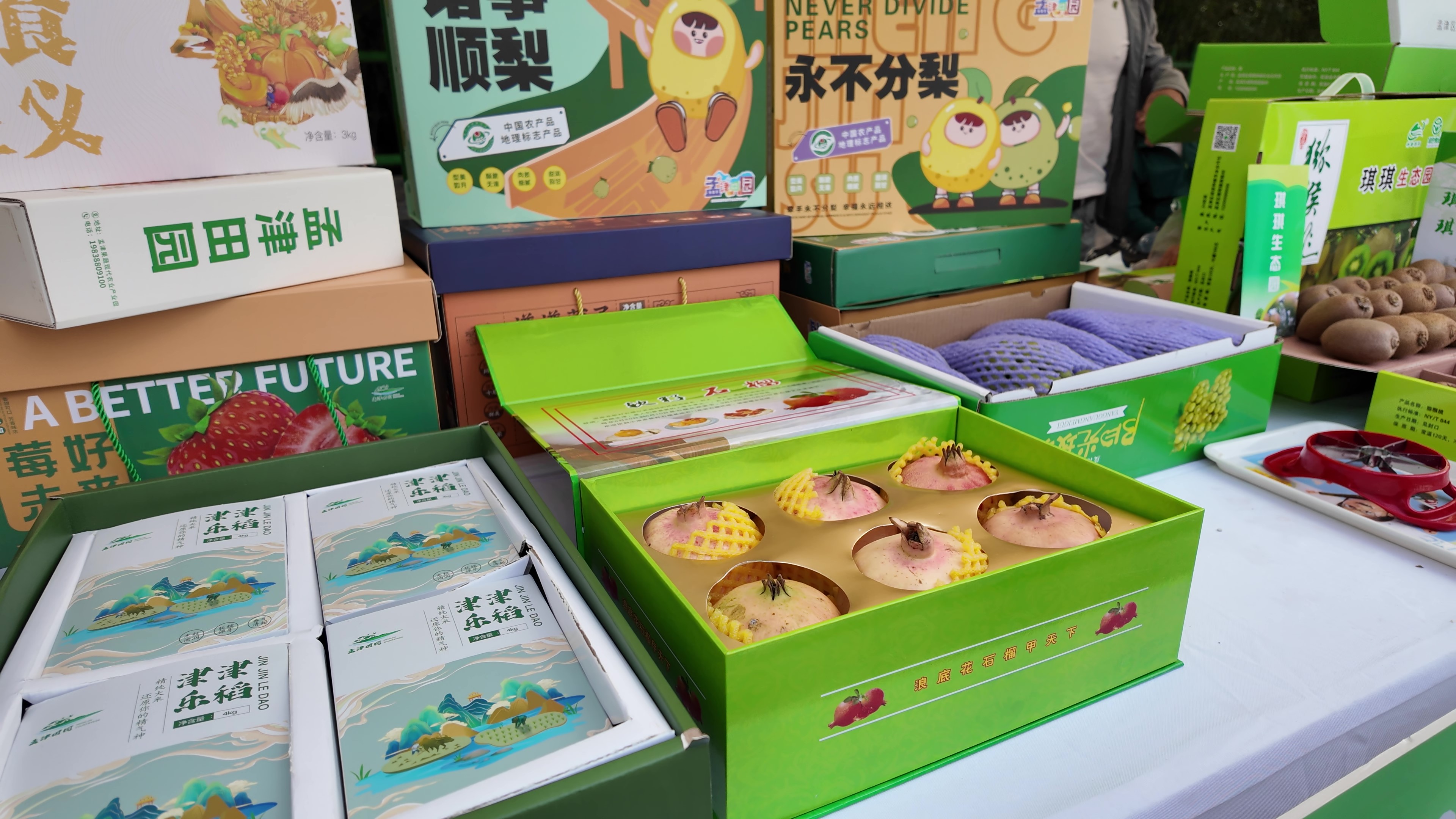 微信图片_20240923104641